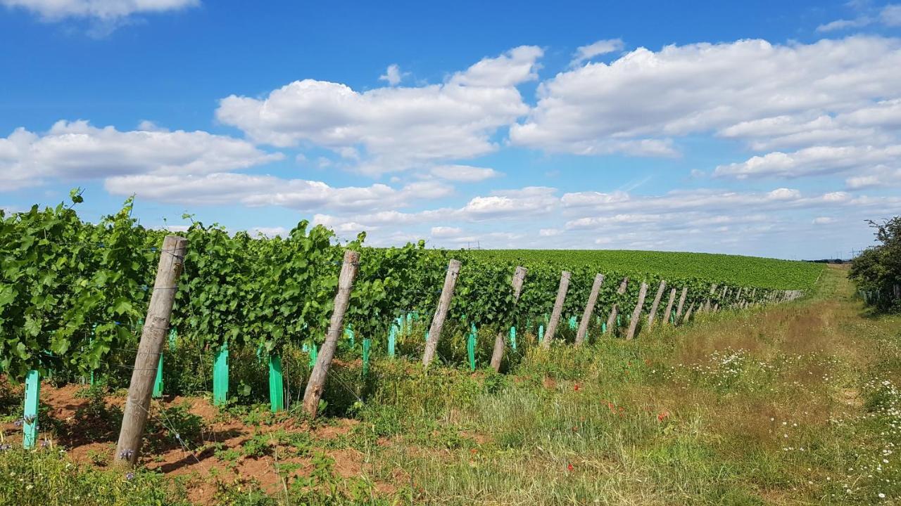 Apartmany Vinarstvi Klucov Lstibor 外观 照片